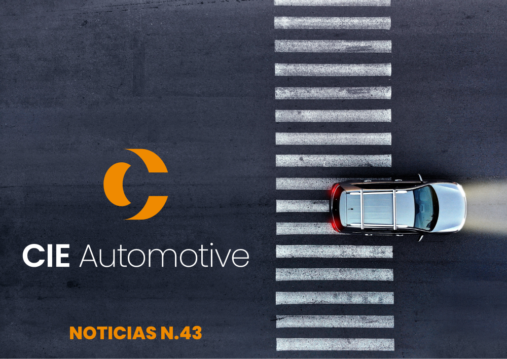 Revista Nº43